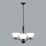 Alta Peak Collection Three Light Chandelier