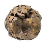 Teak Root Sphere 14-16 inches