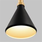 1 Light Pendant in Black Finish