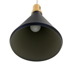 1 Light Pendant in Black Finish