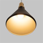 1 Light Pendant in Black Finish