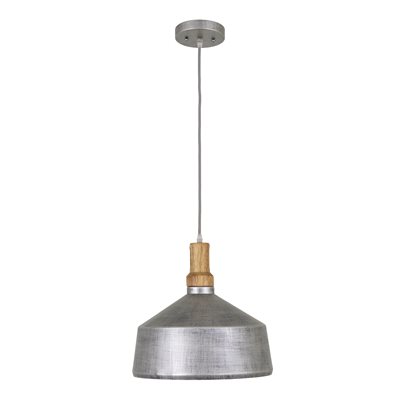 1 Light Pendant in Rolled Steel Finish